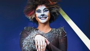 Iconic musical CATS receives the Phoenix treatment