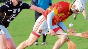 Tipperary weekend GAA fixtures - South and West divisions