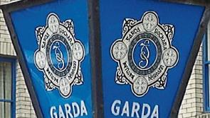 Garda appeal for public's help with Tipperary hit and run death investigation 