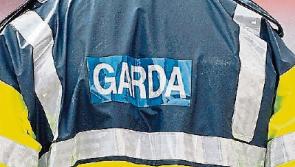 Breaking: man arrested for questioning concerning Glengoole 'hit & run' fatal crash in Co. Tipperary&nbsp;
