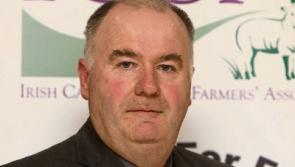 Tipperary farming: ICSA has 'deep reservations' over AG's view on Fair Deal reform