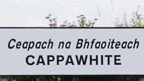 Big Parish Clean Up planned in west Tipperary village for Saturday next