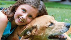 Kids and pets - fun events in Clonmel this summer!