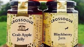 Tipp jams are sweet with the judges