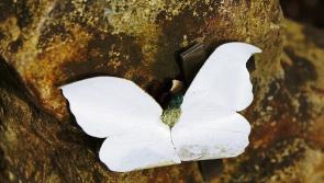 Late Kathleen Buckley, Littleton