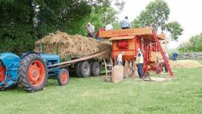 Enjoy the Black Bull Threshing Festival in Sharavogue, Birr, next Sunday