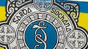 Gardai seize shotgun, ammunition and drugs in Clonmel search
