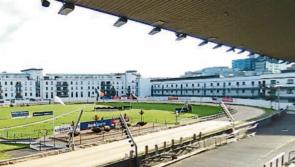Massive Tipperary interest in the BoyleSports Irish Greyhound Derby