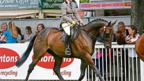 Tipperary  Show winners did well at Dublin RDS