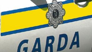 Gardai interview youth in relation to Co. Tipperary burglary 