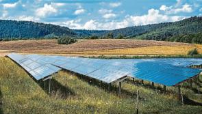 Carrick on Suir solar farm - planning appeal decision due next week