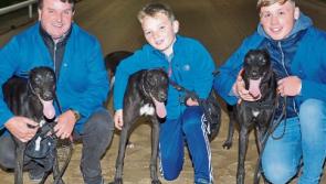 BoyleSports Irish Greyhound Derby: Tipperary trained greyhounds eyeing €287,500 prize fund ahead of semi-finals