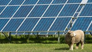 Planning granted for solar farm near Tipp Town