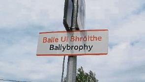 Tipperary train services: Deputy Jackie Cahill says closure of Ballybrophy line 'shortsighted'