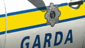 Burglars stole jewellery from Cahir house