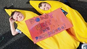 Tipperary schools urged to join revolt against food waste