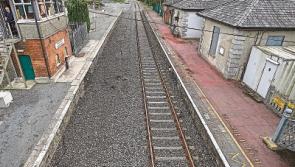 Waterford/Limerick rail service should be reformed not closed, says Carrick-on-Suir business group 