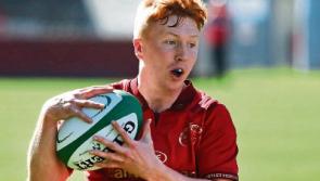 Tipperary rugby players star for Munster and Ireland