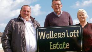 Tipperary Travellers estate transformed by clean-up
