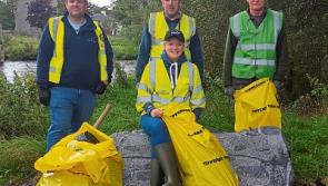 Crayfish plague alert continues as major River Suir clean-up takes place