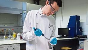 Tipperary student finds Irish honeybee feared extinct