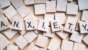 Renowned psychotherapist to give talk on parenting teenagers with anxiety in Carrick-on-Suir 