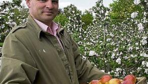 Cahir wins at Blas na hÉireann Food Awards