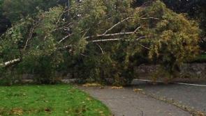 Hurricane Ophelia - Tipperary clean up begins