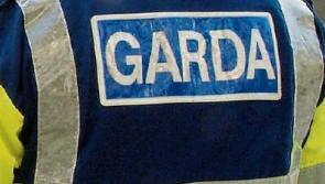Thieves steal entrance gates from Co. Tipperary homes