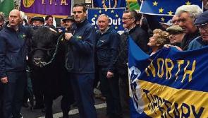 Tipperary farming: Government urged to use French 'window of opportunity' to delay Mercosur