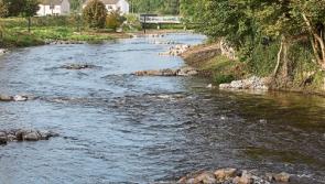 Masterplan to develop "the green lung of Clonmel" that is Suir Island