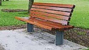 Dog attacks in Carrick-on-Suir park