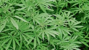€100,000 of drugs seized and two people arrested in Tipperary 