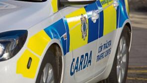 Masked raiders burgle Co. Tipperary homes