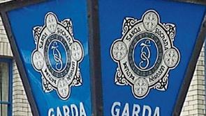 Gardai recover stolen trailer and quadbike in search of Co. Tipperary property