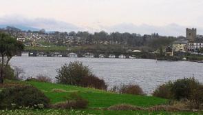 Tipperary TD Jackie Cahill casts doubts on Government's commitment to crossing at Ballina / Killaloe