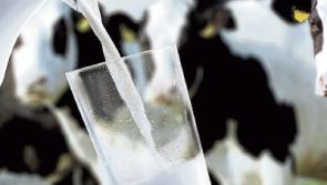 Tipperary farming: dairy summit told Europe and US are leading milk price recovery