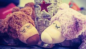 Teddy Bears' sleepover party in Cashel!