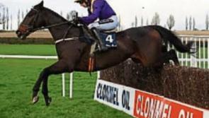Clonmel Oil Chase at Clonmel races attracts top quality field
