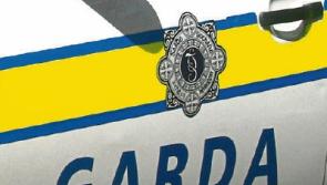 Fourteen year-old boy in critical condition in hospital after assault in Tipperary Town
