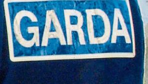 Brave Co. Tipperary man scared away burglars trying to break into his house 