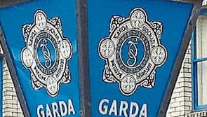 Car stolen from Co. Tipperary village