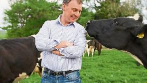 Tipperary farming: ICMSA annoyance at vulture fund delay