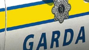 Cancellation of garda overtime a 'reckless blunder' - McGrath
