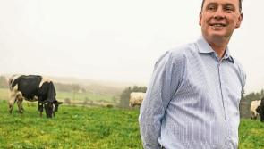Tipperary farming: outgoing ICMSA leader warns of challenging time for policymakers