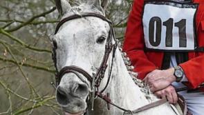 Tipperary charities to benefit from Premier Harriers' night time hunt and walk