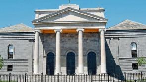 Tipperary court: pony had to be put down due to severe laminitis