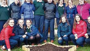 Carrick-on-Suir students plant crocuses in memory of Jewish children murdered in the Holocaust