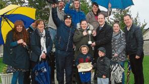 2017 a busy year for Roscrea Tidy Towns