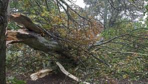 Tipperary storm alert - Storm Dylan to batter the county on Saturday and Sunday